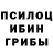 Псилоцибиновые грибы Psilocybe Sanya Prosto