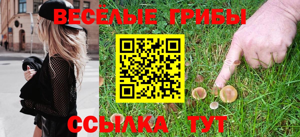 Галлюциногенные грибы ЛСД Печора